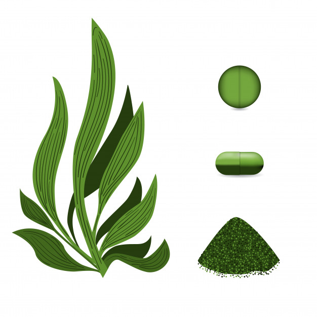DR Herz Spirulina alga kapszula 90db